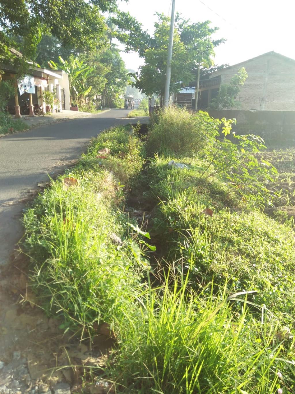 perawatan saluran irigasi dusun Karet TA 2019